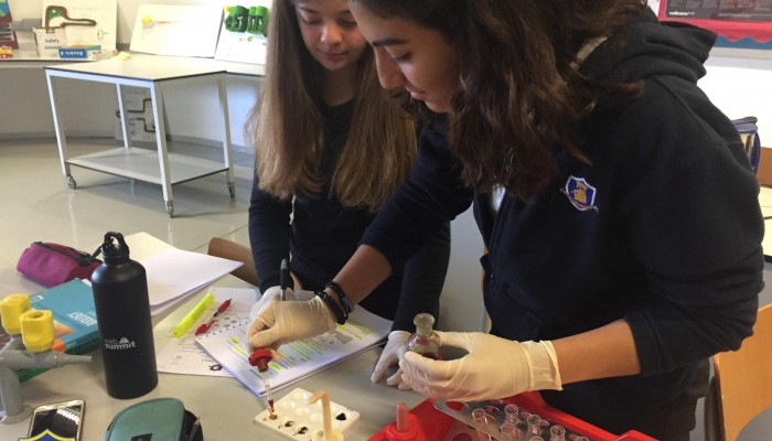 Year 4 Biology Students in action